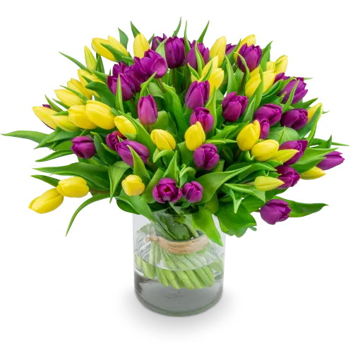 Bouquet of tulips